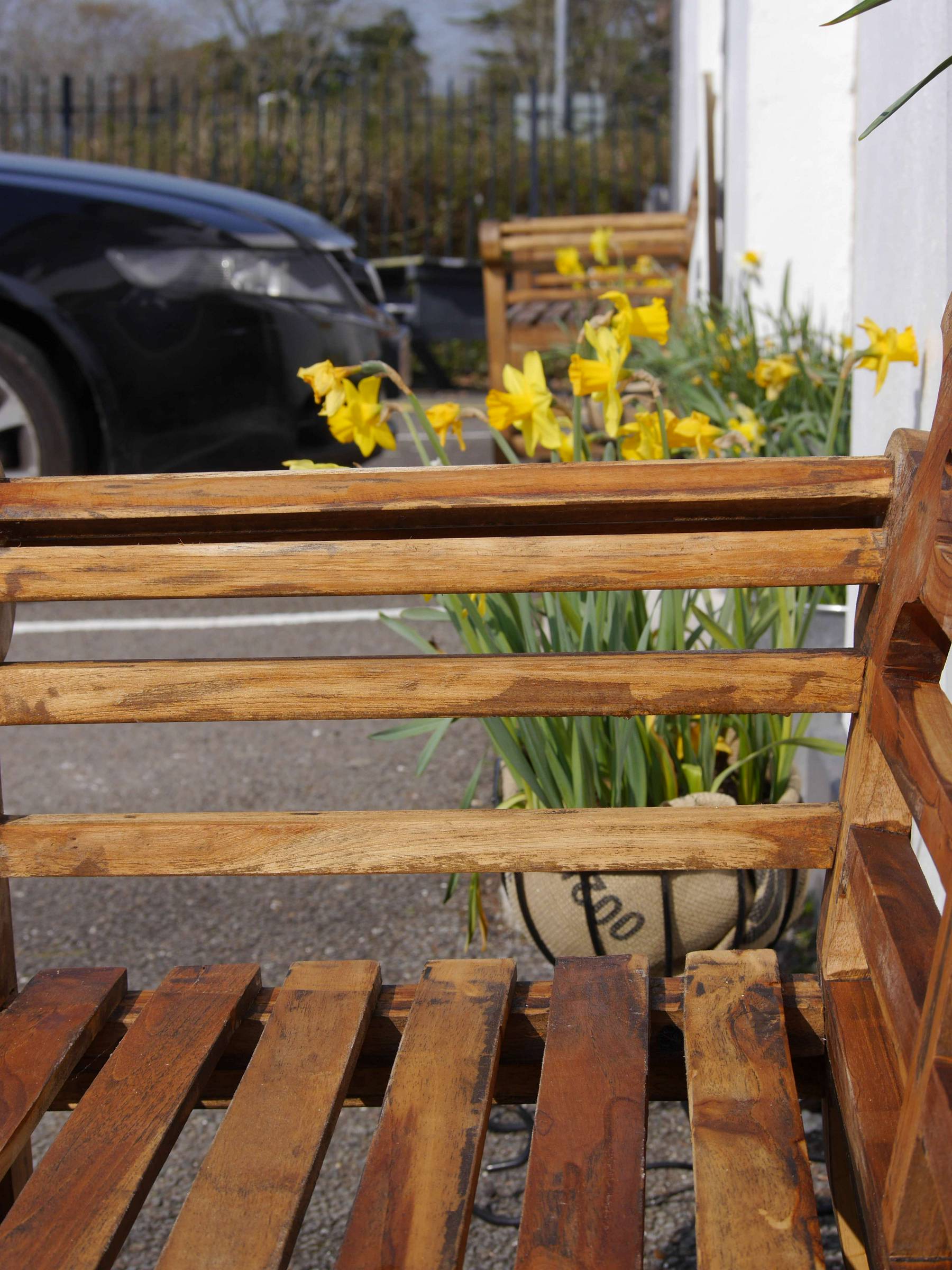 The outside garden area